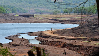 Under water for 11 months a year, Goa village questions 'sacrifice' for dam