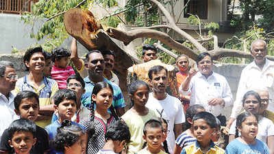 Rajarajeshwari Nagar loses tree to a ‘trim’