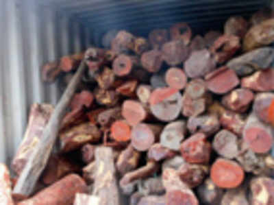 Red sanders smuggled out of Bangalore seized