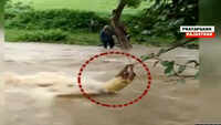 On cam: Man tries to cross flooded river with a rope, washed away 
