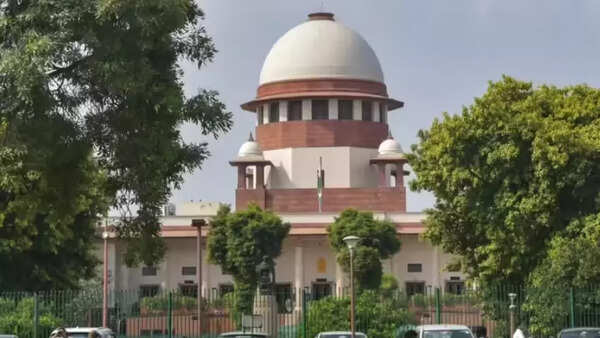 SC: Gangsters jump state to dodge arrest, need one agency for entire NCR