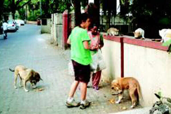 Join the cat walk
