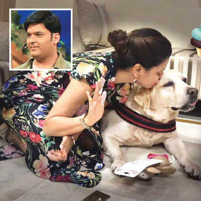 Kapil Sharma loses canine friend, Preeti Simoes to initiate legal action against doctor