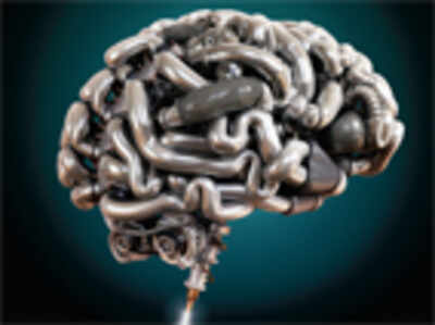 How your brain helps in cognition