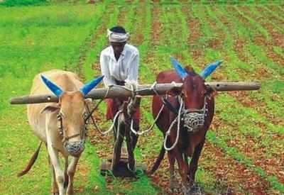 Union Budget 2017: Amravati farmers get huge tax relief