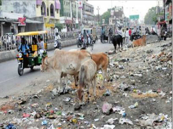 LorryPointChallenge to rid Bengaluru of garbage blots
