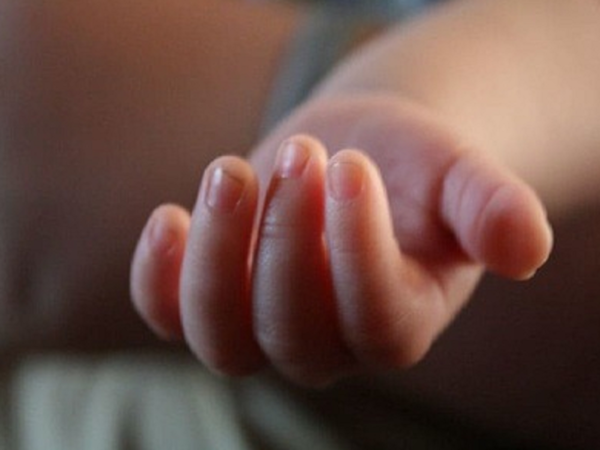 Odisha: Newborn snatched by monkey found dead