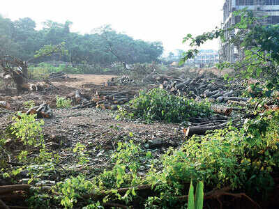 Can’t cut trees in 1,280 acres of Aarey: Environmentalist