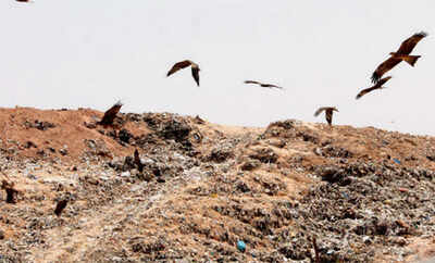 BBMP to go after firm for Mandur ‘waste’ of money