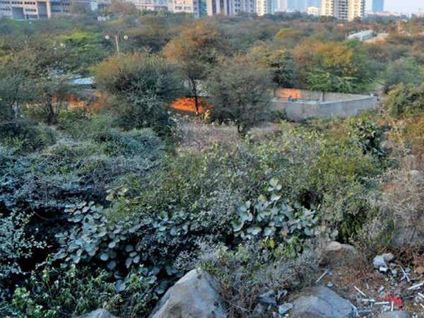 Bill seeking to lift Aravali legal cover may be tabled today