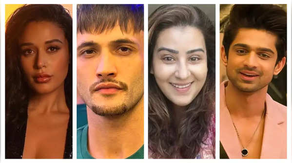 From Tiger Shroff's sister Krishna to Bigg Boss fame Asim Riaz, Shilpa Shinde, Abhishek Kumar: List of Confirmed Contestants to be seen in Khatron Ke Khiladi 14