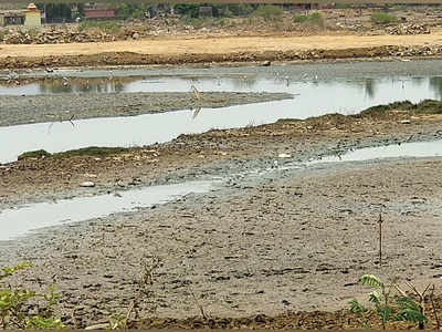 400-acre wetland becomes a dust bowl in 6 months