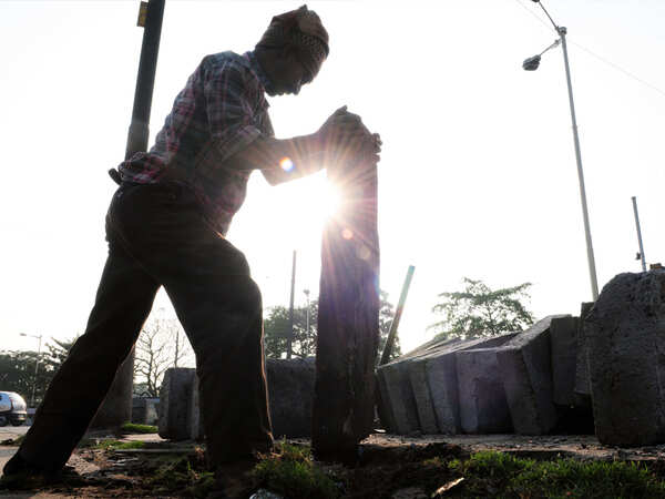 Civic body builds wall around rare Vashi tree