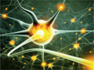 Electric brain stimulation detrimental to IQ