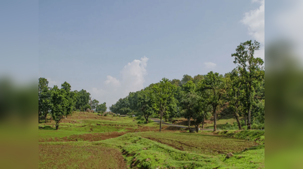 Chhattisgarh's hidden gem where water defies gravity