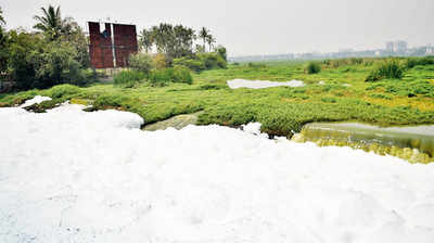 As Bellandur Lake clean-up begins, Varthur too demands attention