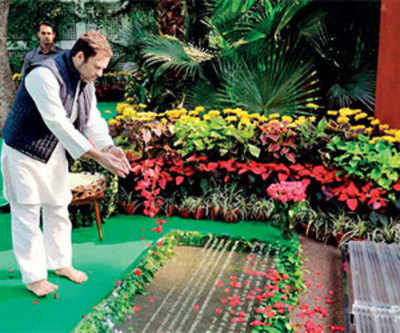 Rahul Gandhi at helm will lure Gujarat votes: Congress