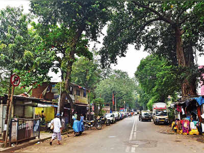 Over 200 trees to be axed for 2 ROBs