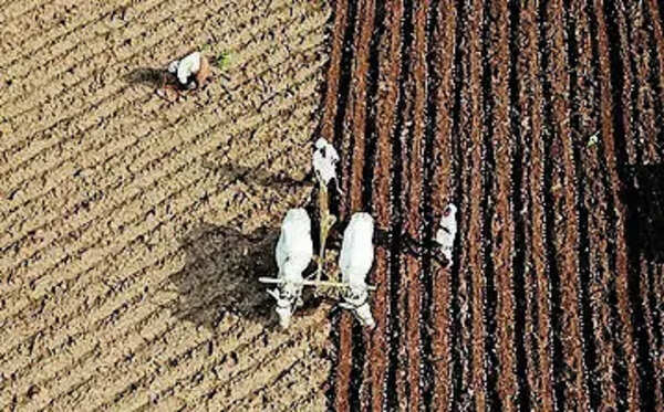 Diesel crunch & price hike push Marathwada farmers to brink as mechanised farming costs surge