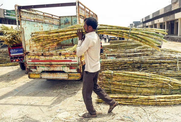Low yield, raw material diversion lead to dip in UP’s sugar production