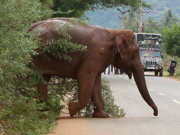 <b>When Al Qaeda visits Valparai</b><b></b>