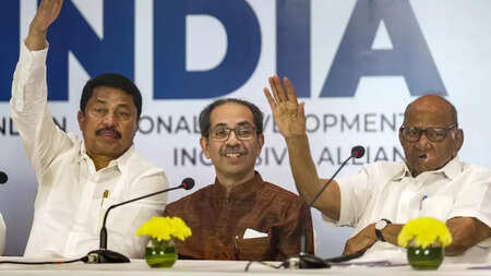 Will seek public opinion on alliance's new logo: Uddhav Thackeray