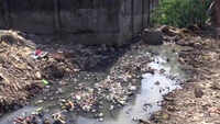 Madhya Pradesh: Dead body of minor girl found in drain in Bhopal 