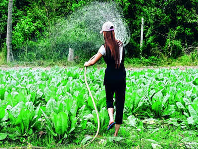 Bengalureans find the plot, take to farming