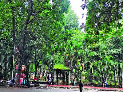 Malleswaram Mirror Special: Malleswaram’s vanishing green cover