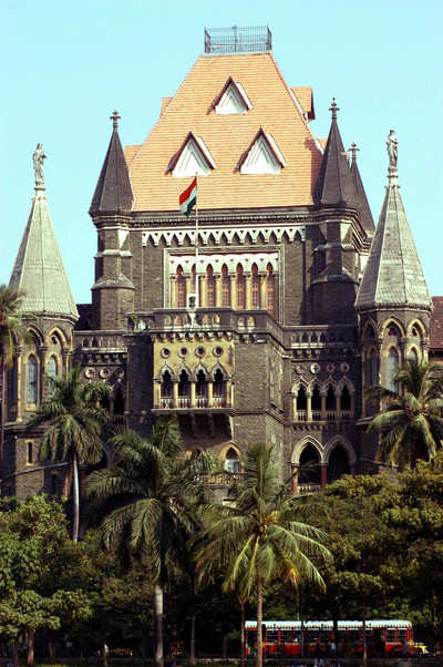 Lawyers move HC, want FIRs to be put online