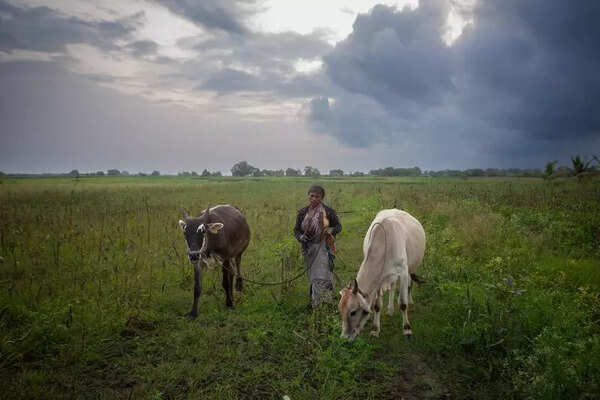 In relief for owners, new rules allow change in use of agricultural land bought before 2020