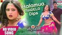Latest Bhojpuri song 'Balamua Marela Dips' from 'Badrinath' sung by Sakshi Shivani Ft. Anjana Singh 