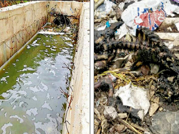 Video: Animal waste & sewage trigger frothing of lake
