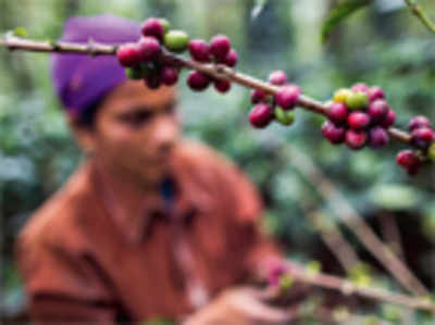 State coffee planters deny bonded labour charge, blame government