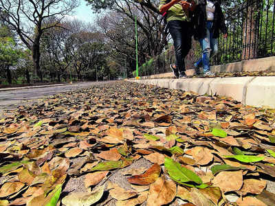 BBMP starts taking stock of state of borewells in parks