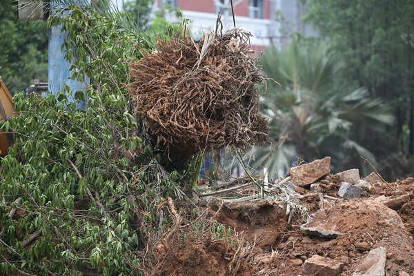 BRS opposes tree felling in KBR Park: KTR