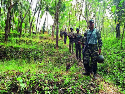 Naxals lay down arms: Only 1 operative left to surrender?