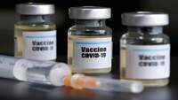 Animal trial of Covaxin gets robust immune responses, says Bharat Biotech 