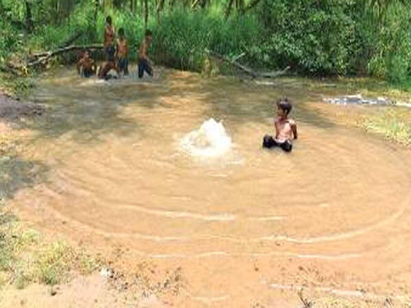 Chandigarh: Pipe leaks for 6 years, creates ‘pond’ in Sector 25 West forest
