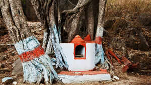 Big and visible: Building in service of religion