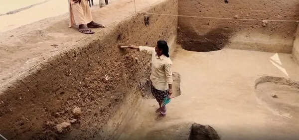 Resume excavations at Pattanam: Archaelogist P J Cherian urges next govt in Kerala