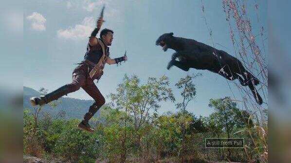 Puli: Things to look forward to