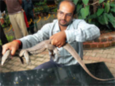 BBMP does not come to the rescue of wildlife volunteers