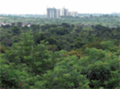 Metro to acquire forest land on Kanakapura Road