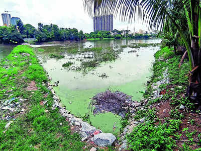 Seegehalli Lake continues to sail in troubled waters