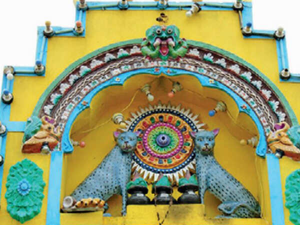 In this village in Mandya, cats are worshipped as gods