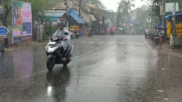 Moderate rainfall aids delta farmers complete cultivation