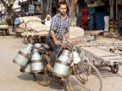 Saving rural India’s ‘liquid cash’: MIT spinout boosts milk yields