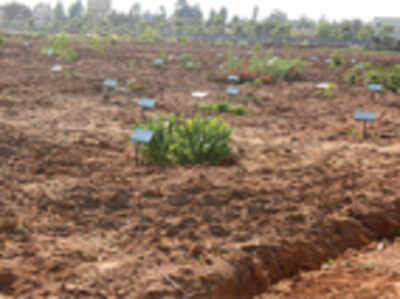 City gets South India’s first genetic garden