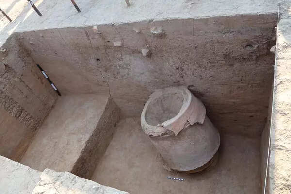 Madras univ students, faculty unearth ancient ring well